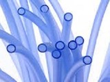 Momentive expands LSR, coating capacity in Thailand