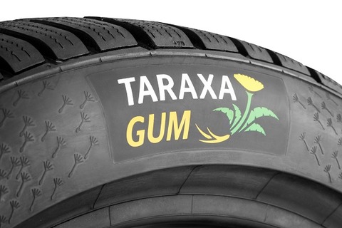 Continental trials first car tires with dandelion-rubber tread
