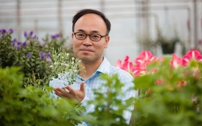 Rubber science eats shoots and (now) leaves