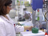 REACH for polymers 'on the back burner'