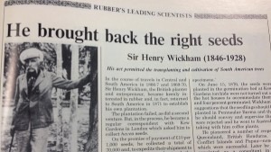 "In the course of travels in Central and South America in 1866-7 and 1869-70, Sir Henry Wickham, the British planter and entrepreneur, became keenly interested in rubber and, in fact, returned to South America in 1871 to establish his own plantation.
