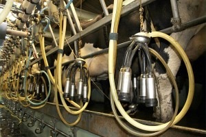 In cooperation with these customers, over the past 18 months Polycomp has developed a range of compounds for drinking water applications that meet the new Elastomerleitinie, as well as W270, and WRAS for the UK market.