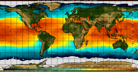 El Nino to hit NR production this year - report