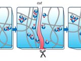Unvulcanised tire rubber can 'heal' self - study