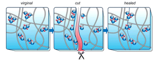 Unvulcanised tire rubber can 'heal' self - study