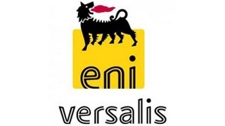 Versalis to present paper at International Elastomer Conference