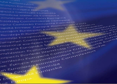 EU referendum: UK chemical makers stay on the fence … for now