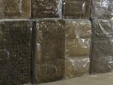 PanAridus earns first patent for guayule harvesting