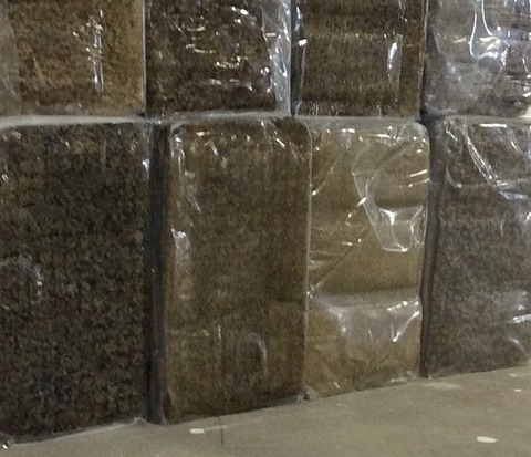 PanAridus earns first patent for guayule harvesting
