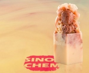 According to a statement by Sinochem, dated 15 Jan, it is trying to cut a deal with Halcyon’s shareholders including CEO Robert Meyer, who owns 29.8 percent of the company.