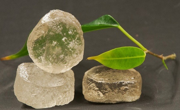 Versalis, Genomatica pilot bio-rubber technology