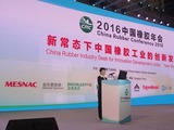China’s major rubber sector players see double-digit negative growth