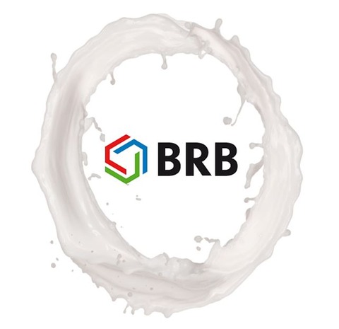 Equity firm buys Dutch silicones and lubricants maker BRB