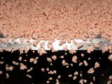 German rubber chief warns against recent market developments