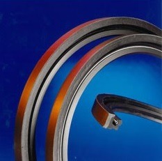 James Walker offers new marine elastomer