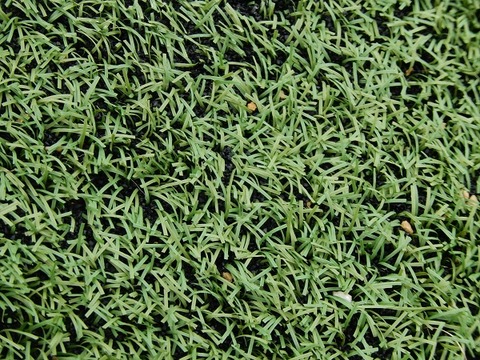 Lawsuit leads to artificial turf producer’s acquisition