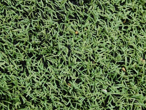 Lawsuit leads to artificial turf producer’s acquisition