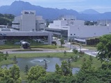 Sales dip at Shin-Etsu's silicones business