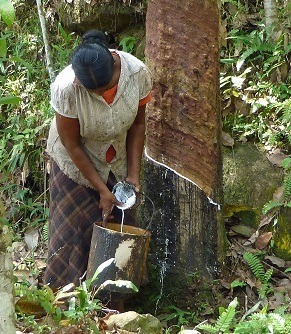 Analysis: Natural rubber prices in retreat