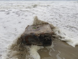  Williams said she had found a number of the 'bales' on her local beach over a period of years, some stamped with the word 'Tjipeti’