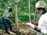 WWF lauds Michelin’s sustainable rubber policy