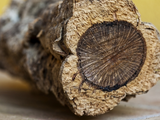 Hexpol TPE has developed compounds using organic fillers and natural fibres from plants, crops or trees, including cork