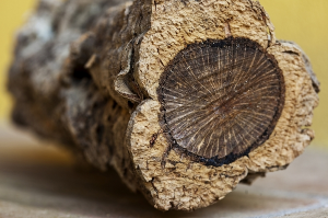  Hexpol TPE has developed compounds using organic fillers and natural fibres from plants, crops or trees, including cork