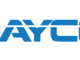 Dayco appoints new CEO