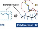 LFR is a liquid rubber developed by Kuraray using farnesene, a new biologically derived diene monomer developed by US biotech company Amyris.