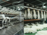 Top Glove to open three new production plants by 2019
