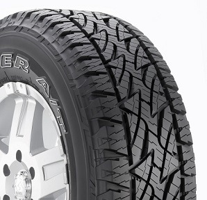 Bridgestone claims patent win over Wanli