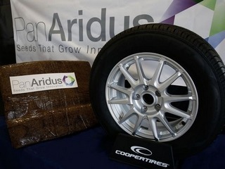 Cooper: guayule viable as NR/SR substitute in tires