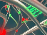Harvard researchers advance self-healing rubber