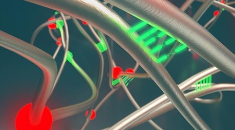 Harvard researchers advance self-healing rubber