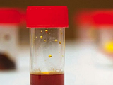 Michelin develops high-performance textile-rubber adhesive