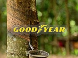 Green group questions Goodyear NR procurement plan
