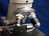 Researchers solve long-standing butadiene puzzle