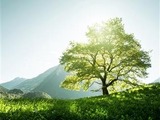 Kraiburg targets renewable TPE advances