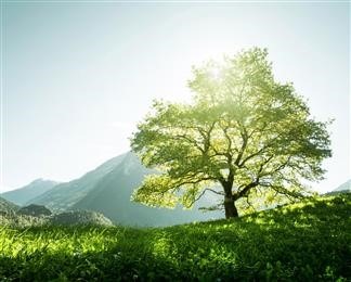 Kraiburg targets renewable TPE advances