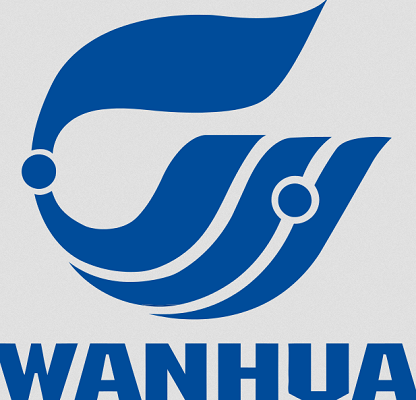 Stock exchange probes Wanhua take over plan