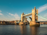 IRC 2019: Institute issues call for papers