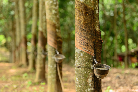 Thailand looks to cut back on natural rubber output