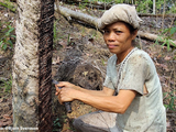 IRSG photo competition to highlight role of women
