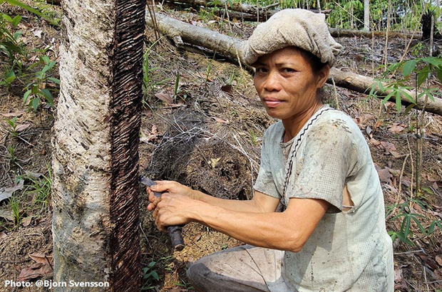 IRSG photo competition to highlight role of women