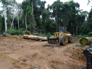  Forest clearing machinery inside Sudcam’s concession in Cameroon. Photo by Nchemty Metimi Ozongashu / Greenpeace