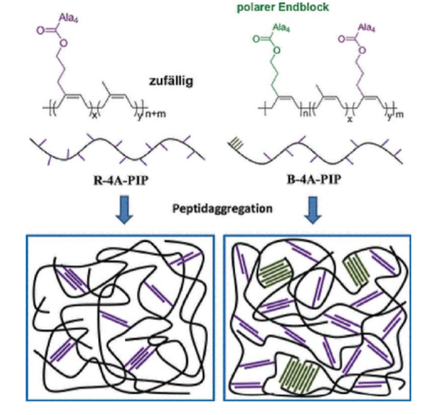  The physical crosslinking of the polyisoprene chains increases the strength and toughness of the synthetic rubber greatly. (c) Wiley-VCH