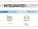 Halcyon to launch digital platform for sustainable NR trading