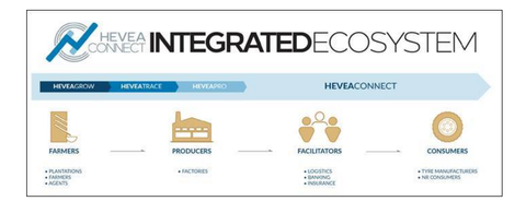 Halcyon to launch digital platform for sustainable NR trading