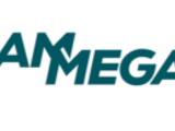 Alkmaar, The Netherlands – Dutch conveyor belt systems manufacturer Ammeraal Beltech and Italian belt systems supplier Megadyne Group have merged to create a new corporate entity Ammega.