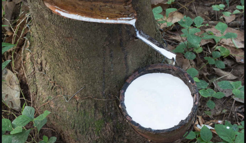 Hainan Rubber to build plant for deproteinised NR 